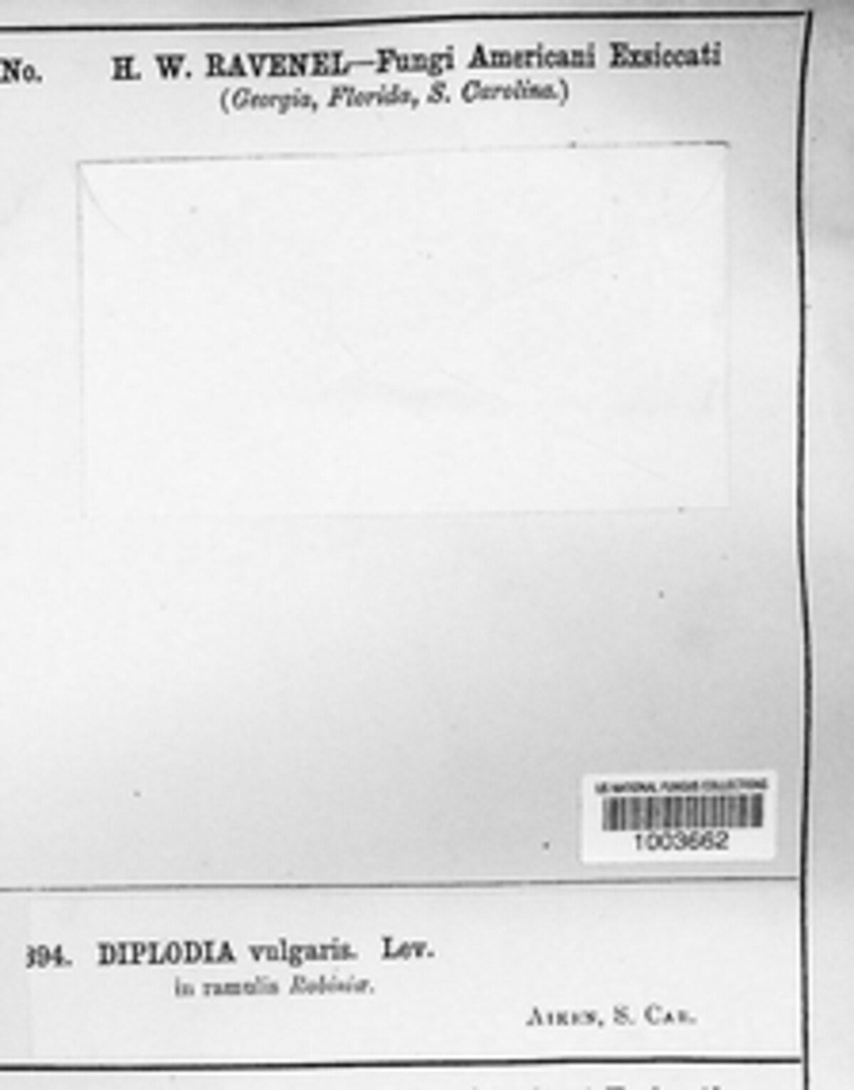 Diplodia vulgaris image